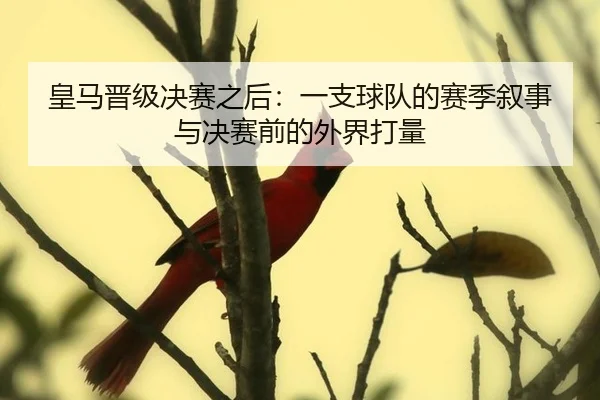 huang-ma-jin-ji-jue-sai-zhi-hou-yi-zhi-qiu-dui-de-sai-ji-xu-shi-yu-jue-sai-qian-de-wai-jie-da-liang-2-408.jpg